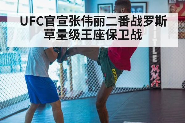 MMA training